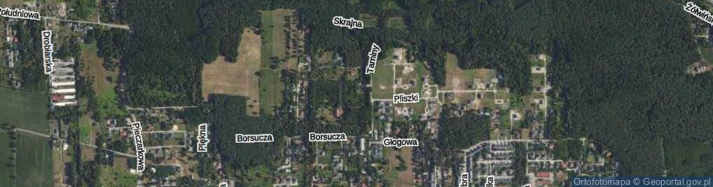 Zdjęcie satelitarne Tajgi ul.